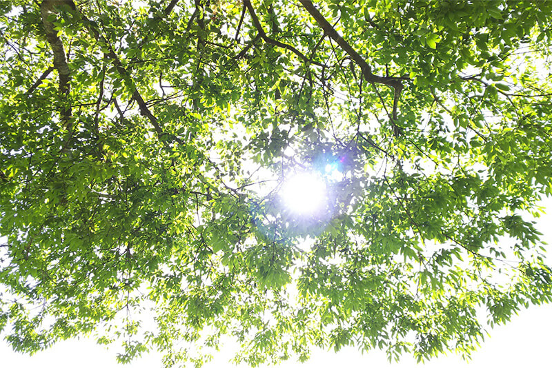 shoko yoga life イメージ写真