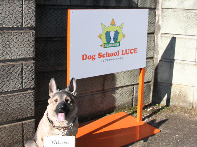 ドッグスクールルーチェ 看板
