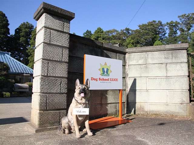 ドッグスクールルーチェ 看板